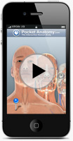 Pocket Body on iPhone