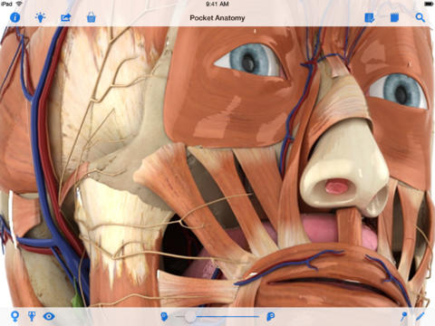 New iOS7 Interface