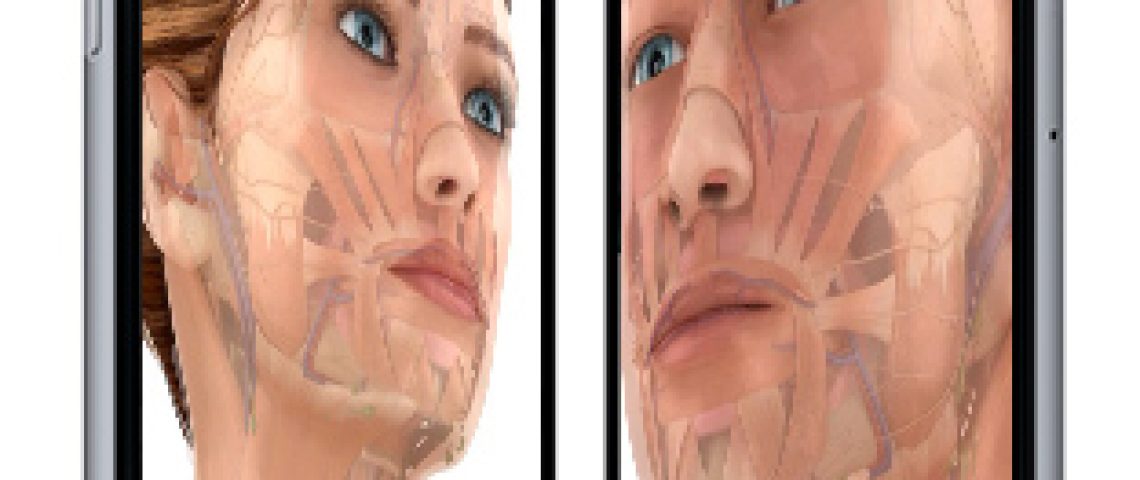 Anatomy of Skin Anatomy of Skin