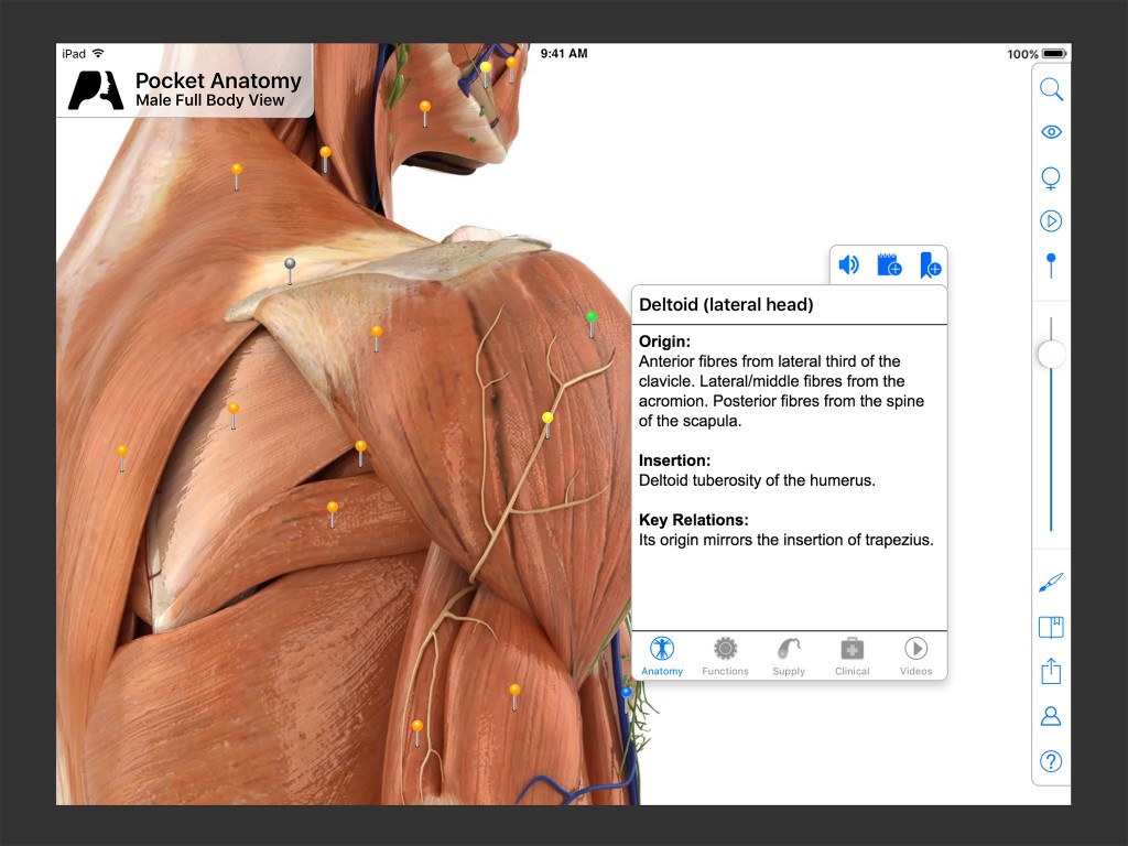 Pocket Anatomy iPad