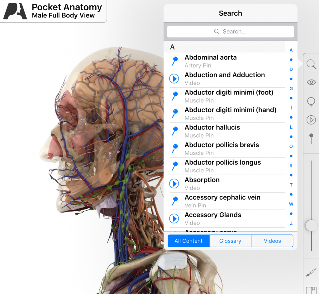 medical terms, vocabulary