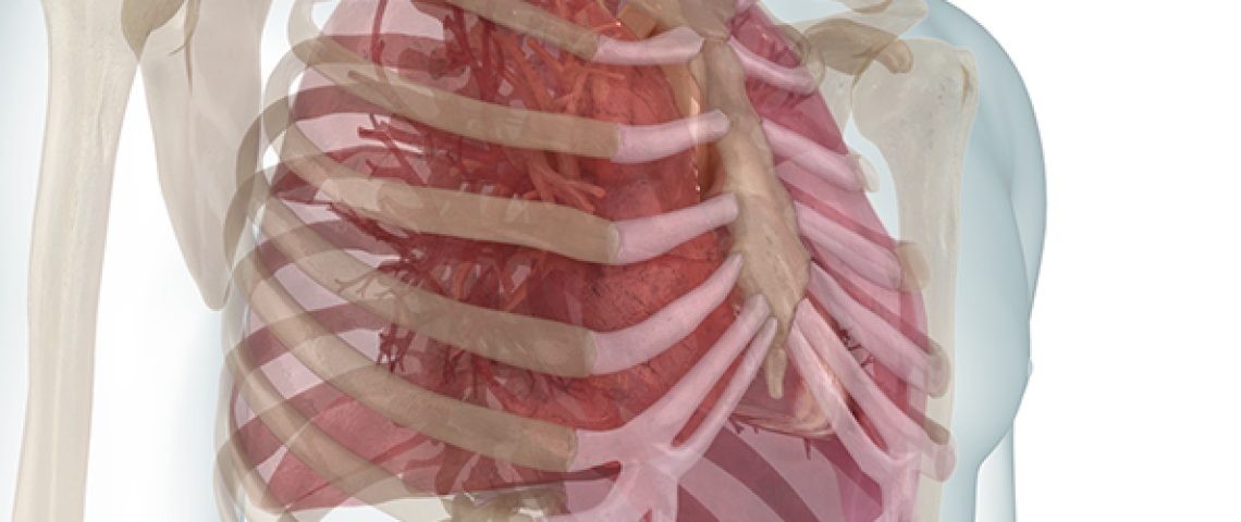 oct_healthy_lungs_900x250 October Healthy Lungs Month