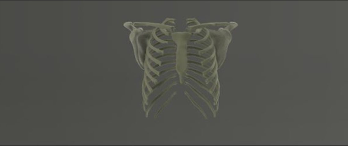 skeletal_banner_1140x250