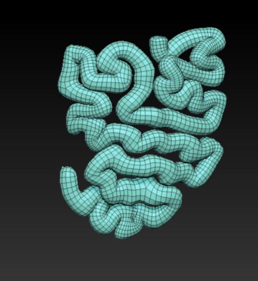 Modelling small intestines using splines in 3dsmax